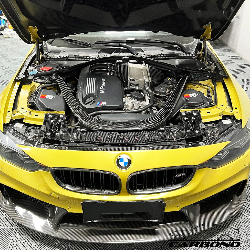 Kühlklappe Dry Carbon - BMW M3 F80 M4 F82 F83