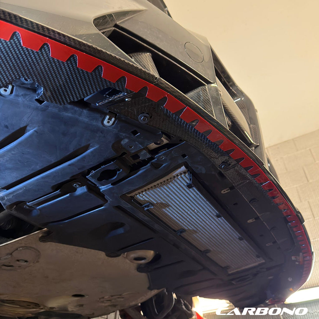 Carbono spoiler lip protectors underrun protection