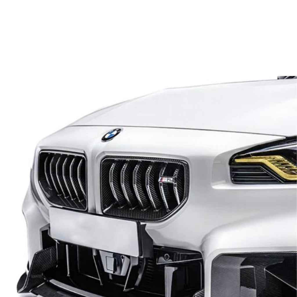 Kühlergrill EVO-AD aus Dry Carbon - passend für BMW M2 G87