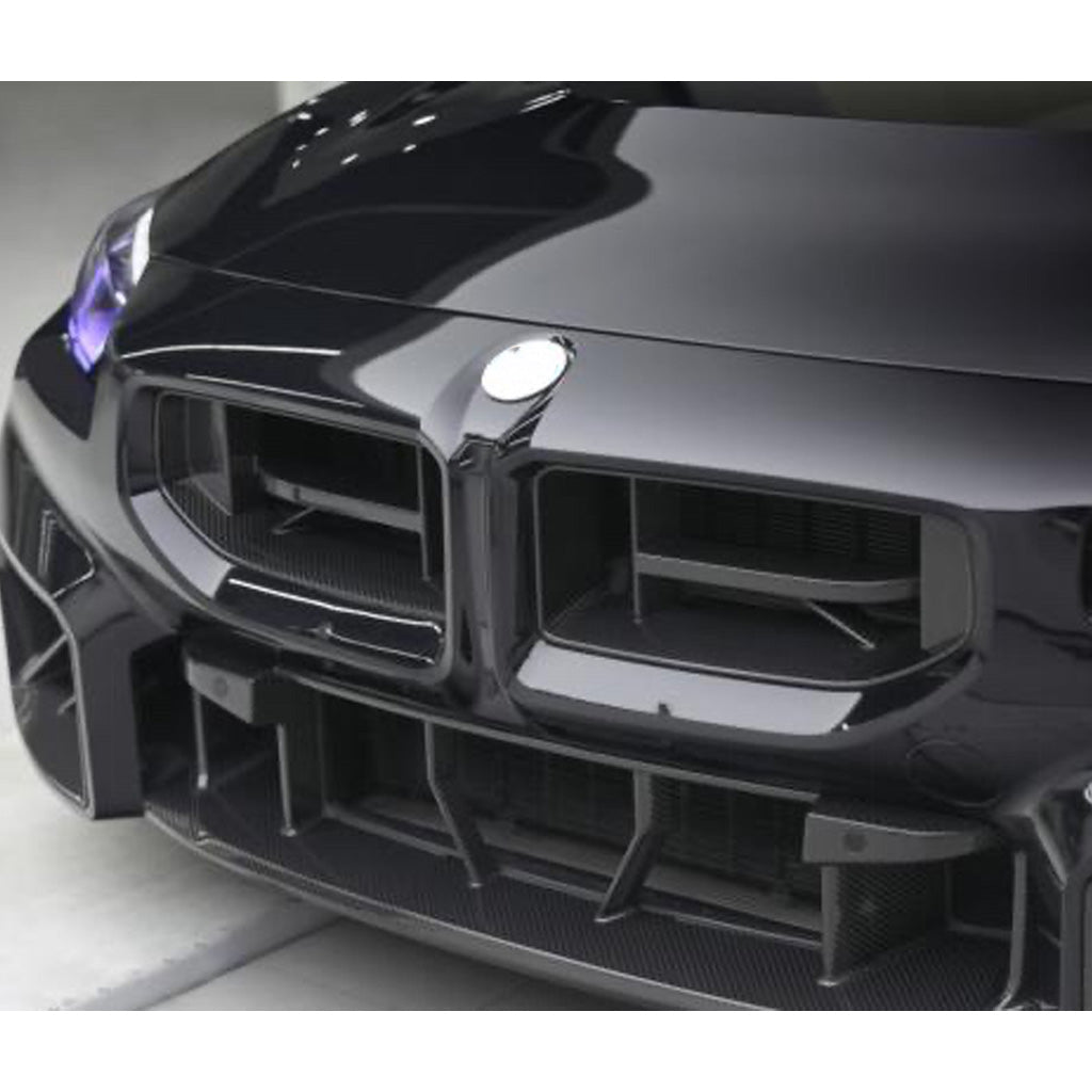 Kühlergrill EVO-CS aus Dry Carbon - passend für BMW M2 G87