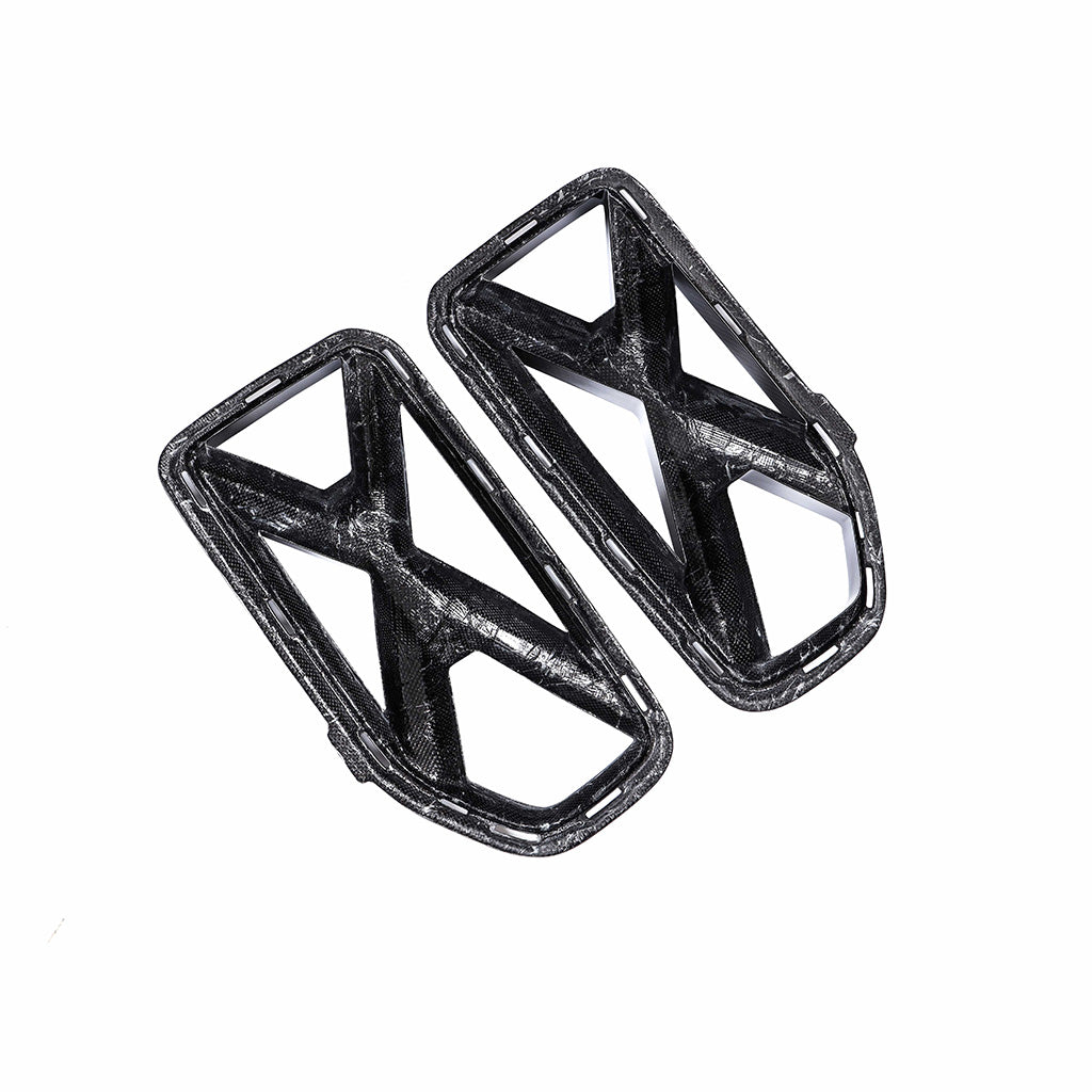 Kühlergrill EVO-X aus Dry Carbon - passend für BMW M2 G87