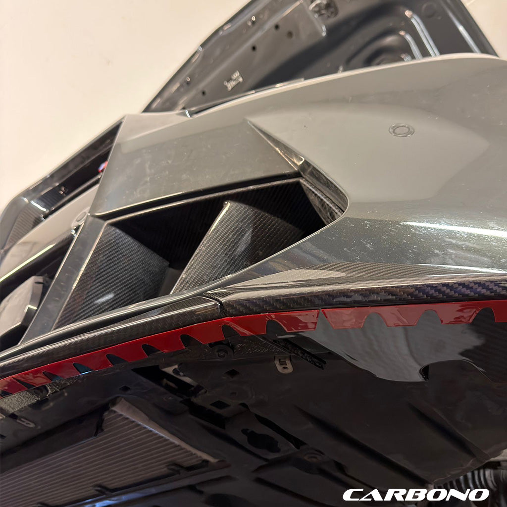 Carbono spoiler lip protectors underrun protection 